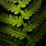 韩国风俗媚娘集锦 p9o18x5